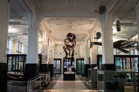 Das Manchester Museum: Ein Reise durch Zeit und Kultur!