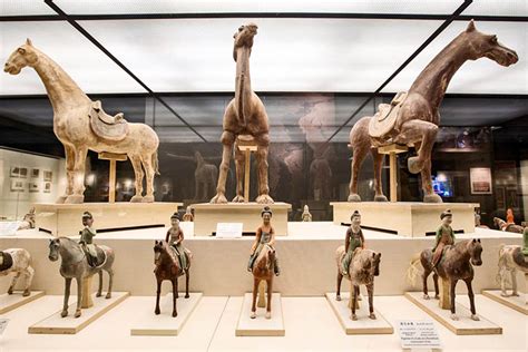  Die Xinjiang Regional Museum - Ein Fenster in die faszinierende Geschichte und Kultur der Region!